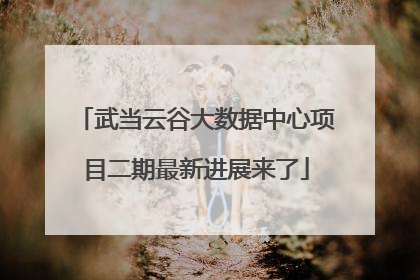 武当云谷大数据中心项目二期最新进展来了